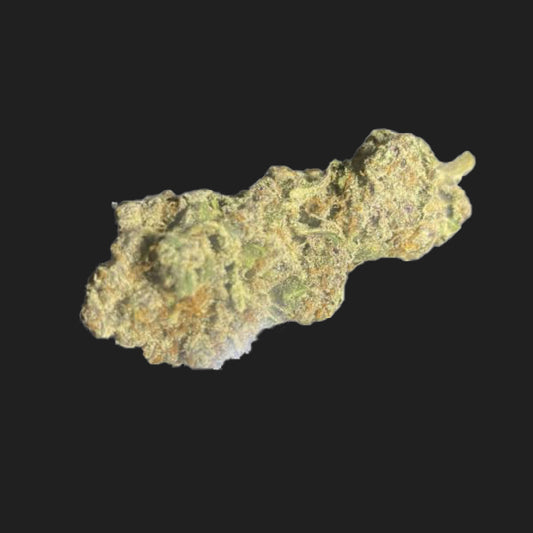 Original Amnesia